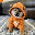 Dog (Bitcoin) price, market cap on Coin360 heatmap