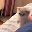 ONE PUNCH CAT price, market cap on Coin360 heatmap