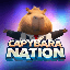 Harga dan kapitalisasi pasar Capybara Nation di peta panas Coin360