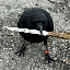 crow with knife price, market cap on Coin360 heatmap