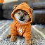Harga dan kapitalisasi pasar Dog (Bitcoin) di peta panas Coin360