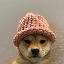 dogwifhat price, market cap on Coin360 heatmap