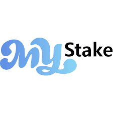 mystake